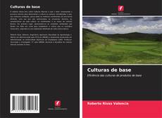 Capa do livro de Culturas de base 