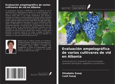 Copertina di Evaluación ampelográfica de varios cultivares de vid en Albania