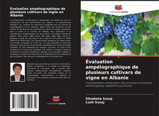 Copertina di Évaluation ampélographique de plusieurs cultivars de vigne en Albanie