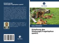 Bookcover of Erhaltung des Sitatunga(Tragelaphus spekii)