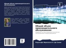 Bookcover of Общий объем производительного обслуживания