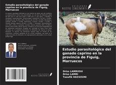 Copertina di Estudio parasitológico del ganado caprino en la provincia de Figuig, Marruecos