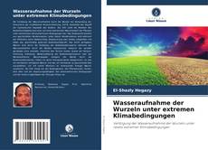 Copertina di Wasseraufnahme der Wurzeln unter extremen Klimabedingungen