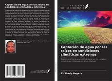 Bookcover of Captación de agua por las raíces en condiciones climáticas extremas