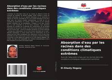 Copertina di Absorption d'eau par les racines dans des conditions climatiques extrêmes