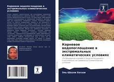 Bookcover of Корневое водопоглощение в экстремальных климатических условиях