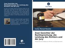 Copertina di Zwei Gesichter der Rechtsprechung: die Leistung des Richters und der Jury