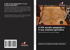 Bookcover of Il XIX secolo spagnolo e il suo sistema giuridico
