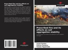 Borítókép a  Prescribed fire and its effects on soil aggregation stability - hoz