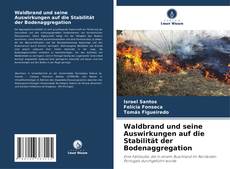 Capa do livro de Waldbrand und seine Auswirkungen auf die Stabilität der Bodenaggregation 