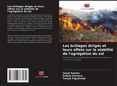 Capa do livro de Les brûlages dirigés et leurs effets sur la stabilité de l'agrégation du sol 