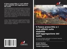 Bookcover of Il fuoco prescritto e i suoi effetti sulla stabilità dell'aggregazione del suolo