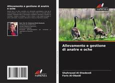 Bookcover of Allevamento e gestione di anatre e oche