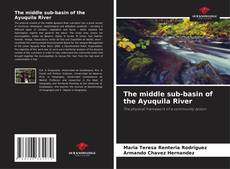 The middle sub-basin of the Ayuquila River kitap kapağı