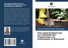 Copertina di Eine Input-Evaluierung von HIV/AIDS-IEC-Programmen am Arbeitsplatz in Botswana