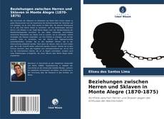 Beziehungen zwischen Herren und Sklaven in Monte Alegre (1870-1875)的封面