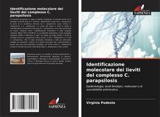 Copertina di Identificazione molecolare dei lieviti del complesso C. parapsilosis