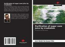 Buchcover von Purification of sugar cane juice by irradiation