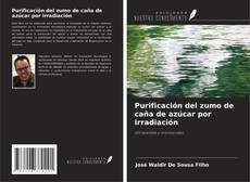 Bookcover of Purificación del zumo de caña de azúcar por irradiación