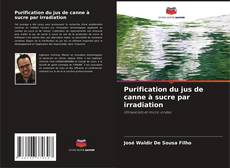 Copertina di Purification du jus de canne à sucre par irradiation