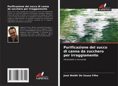 Bookcover of Purificazione del succo di canna da zucchero per irraggiamento