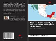 Capa do livro de Mexico: Public security in the face of the emergence of the Zetas 