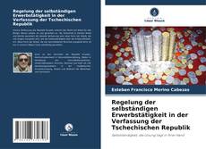 Regelung der selbständigen Erwerbstätigkeit in der Verfassung der Tschechischen Republik kitap kapağı