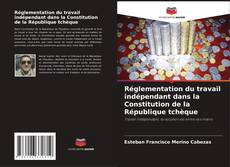 Buchcover von Réglementation du travail indépendant dans la Constitution de la République tchèque