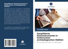 Couverture de Gesplitterte Glasinstrumente in historischen archäologischen Stätten