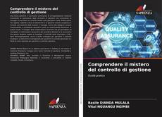 Comprendere il mistero del controllo di gestione的封面