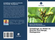 Couverture de Schädlinge an Niébé im Distrikt Port-Bergé, Madagaskar