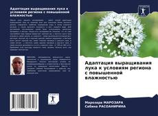 Bookcover of Адаптация выращивания лука к условиям региона с повышенной влажностью
