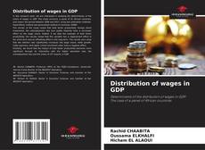 Bookcover of Distribution of wages in GDP