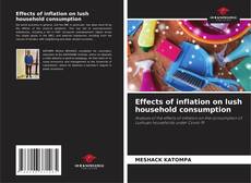 Capa do livro de Effects of inflation on lush household consumption 