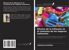 Capa do livro de Efectos de la inflación en el consumo de los hogares lushuanos 