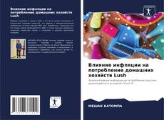 Bookcover of Влияние инфляции на потребление домашних хозяйств Lush