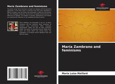 Buchcover von María Zambrano and feminisms