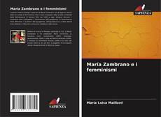 María Zambrano e i femminismi的封面