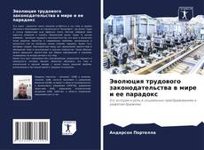 Bookcover of Эволюция трудового законодательства в мире и ее парадокс