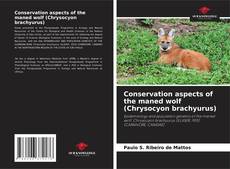 Bookcover of Conservation aspects of the maned wolf (Chrysocyon brachyurus)