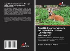 Portada del libro de Aspetti di conservazione del lupo dalla criniera (Chrysocyon brachyurus)