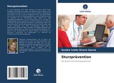 Sturzprävention的封面