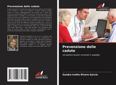 Bookcover of Prevenzione delle cadute