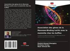 Bookcover of Association des gènes de la Mannose-Binding Lectin avec la mammite chez les buffles