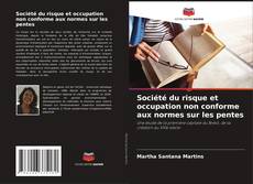 Bookcover of Société du risque et occupation non conforme aux normes sur les pentes
