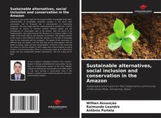 Sustainable alternatives, social inclusion and conservation in the Amazon kitap kapağı