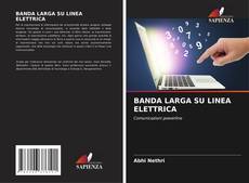 Copertina di BANDA LARGA SU LINEA ELETTRICA