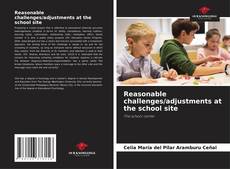 Reasonable challenges/adjustments at the school site kitap kapağı