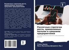 Bookcover of Различные стратегии роста, применяемые малыми и средними предприятиями