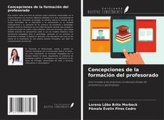 Copertina di Concepciones de la formación del profesorado